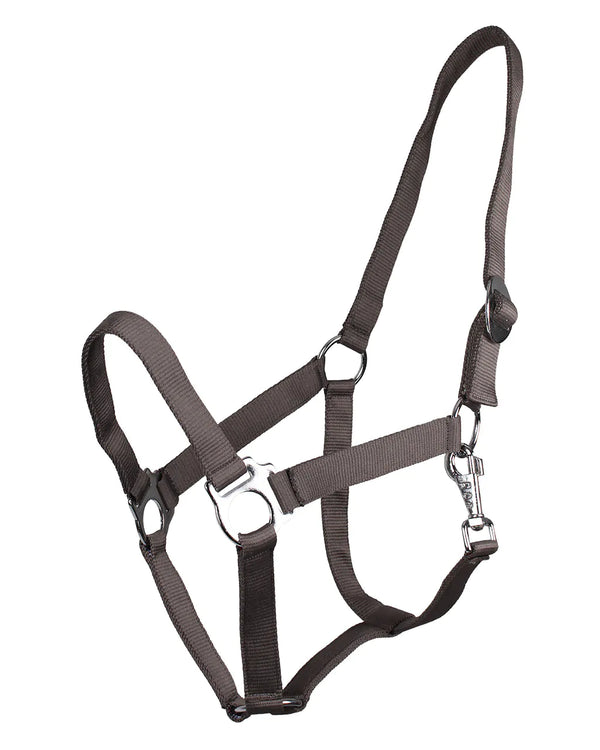 QHP ESSENTIALS HEAD COLLAR SLIDE DARK GREY