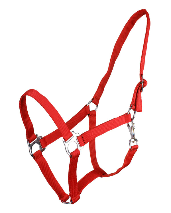 QHP ESSENTIALS HEAD COLLAR SLIDE RED
