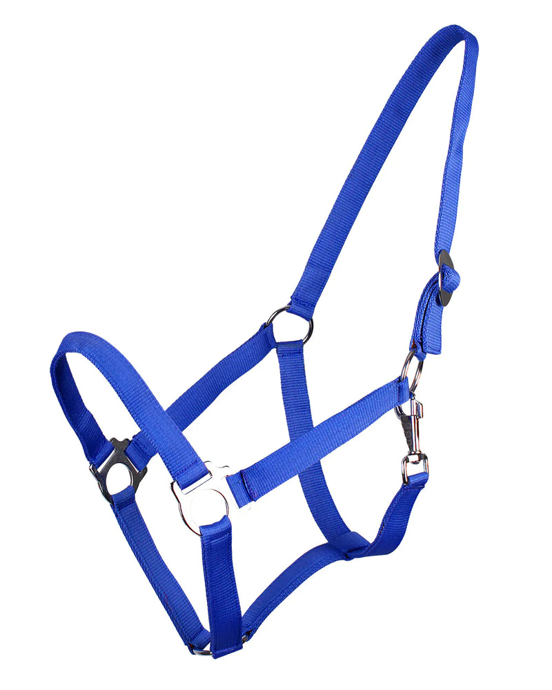 QHP ESSENTIALS HEAD COLLAR SLIDE BLUE