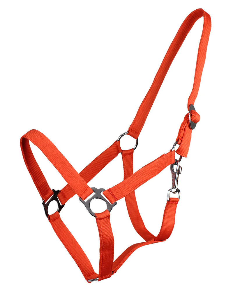 QHP ESSENTIALS HEAD COLLAR SLIDE ORANGE