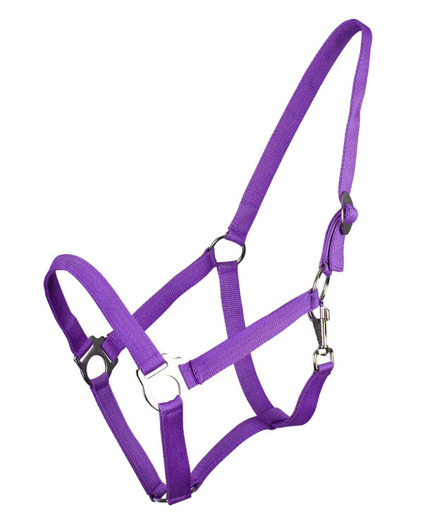 QHP ESSENTIALS HEAD COLLAR SLIDE PASSION FLOWER