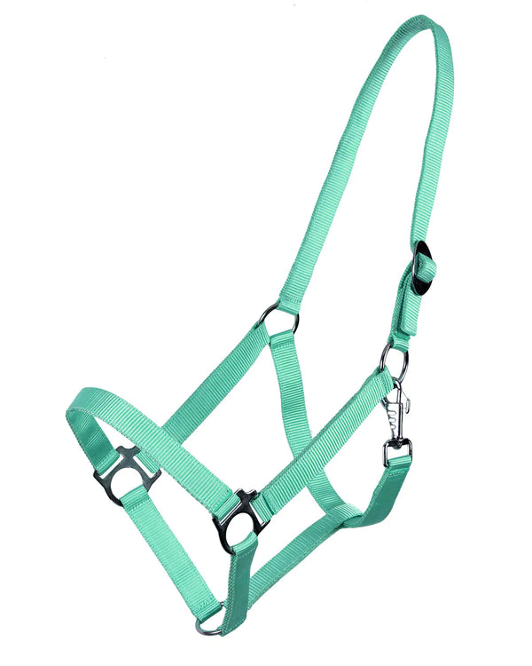QHP ESSENTIALS HEAD COLLAR SLIDE TURQUOISE