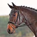 BUSSE TRENSE LUXURY BLACK/WHITE