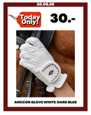 ANCCOR GLOVE WHITE/DARK BLUE