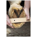 HKM HOOF BOOT