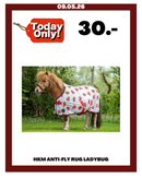 HKM ANTI-FLY RUG LADYBUG