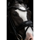 SD DESIGN DIAMOND BRIDLE BLACK/BLACK