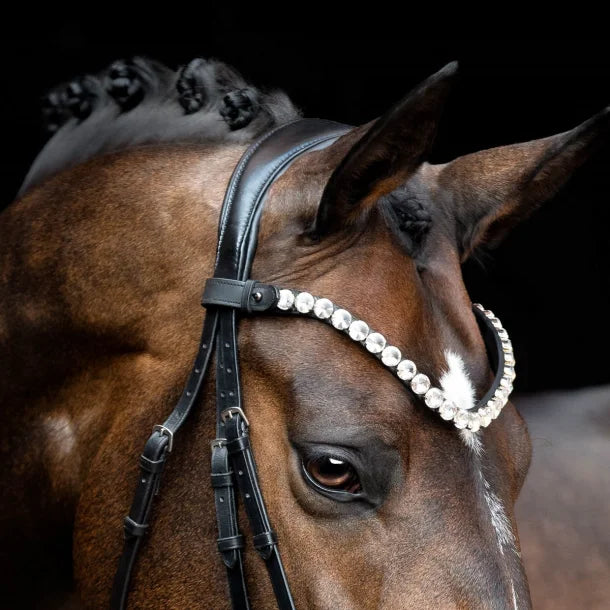 SD DESIGN BESPOKE BROWBAND 14 mm CRYSTALS BLACK