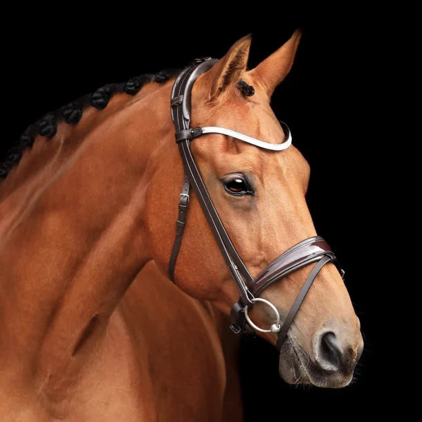 SD DESIGN CORNETTO BRIDLE BROWN/BROWN/PATENT