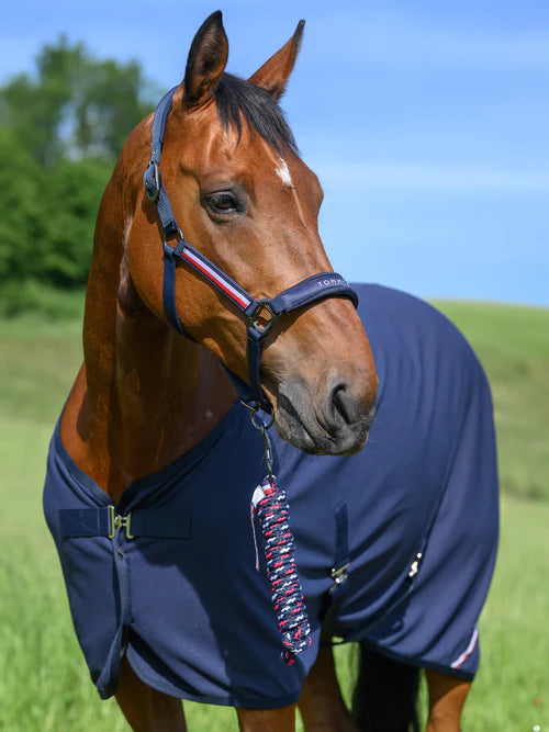 TOMMY HILFIGER YALE SET HALTER AND ROPE DESERT SKY