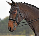 BUSSE DOUBLE BRIDLE LUXURY BLACK