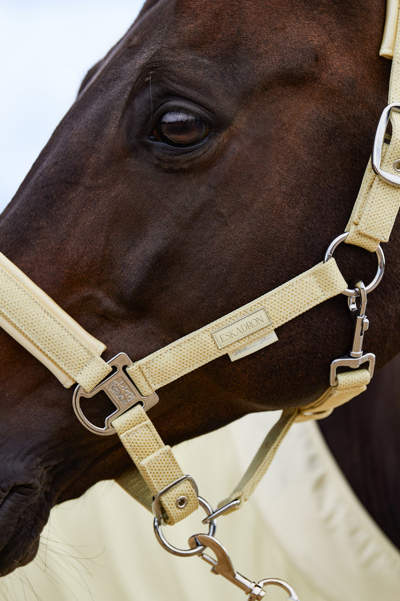 ESKADRON DOUBLE PIN GLITTER MESH HEADCOLLAR PLATINUM PURE 23 SUNFLOWER