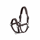 ESKADRON DOUBLE PIN FAUX LEATHER HEADCOLLAR PLATINUM 24 TEAK BROWN