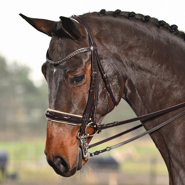 BUSSE DOUBLE BRIDLE LUXURY BROWN