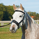 BUSSE KAPPZAUM NYLON PRO