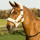 BUSSE HEADCOLLAR GUARD CREAM