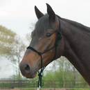 BUSSE ROPE HALTER BLACK