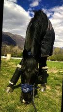 PHILI-RIDING HALTER NAVY